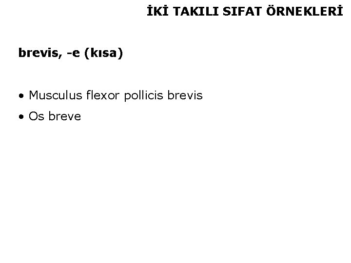 İKİ TAKILI SIFAT ÖRNEKLERİ brevis, -e (kısa) • Musculus flexor pollicis brevis • Os