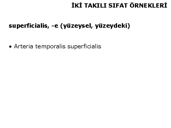 İKİ TAKILI SIFAT ÖRNEKLERİ superficialis, -e (yüzeysel, yüzeydeki) • Arteria temporalis superficialis 