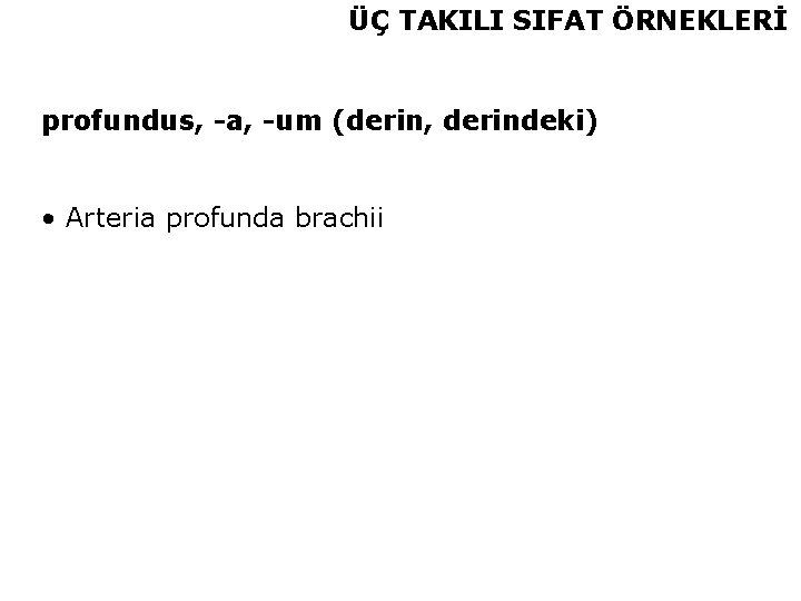 ÜÇ TAKILI SIFAT ÖRNEKLERİ profundus, -a, -um (derin, derindeki) • Arteria profunda brachii 