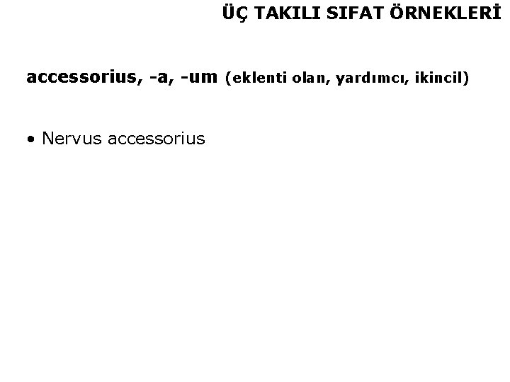 ÜÇ TAKILI SIFAT ÖRNEKLERİ accessorius, -a, -um (eklenti olan, yardımcı, ikincil) • Nervus accessorius