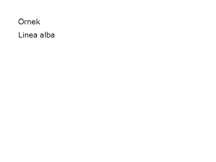Örnek Linea alba 