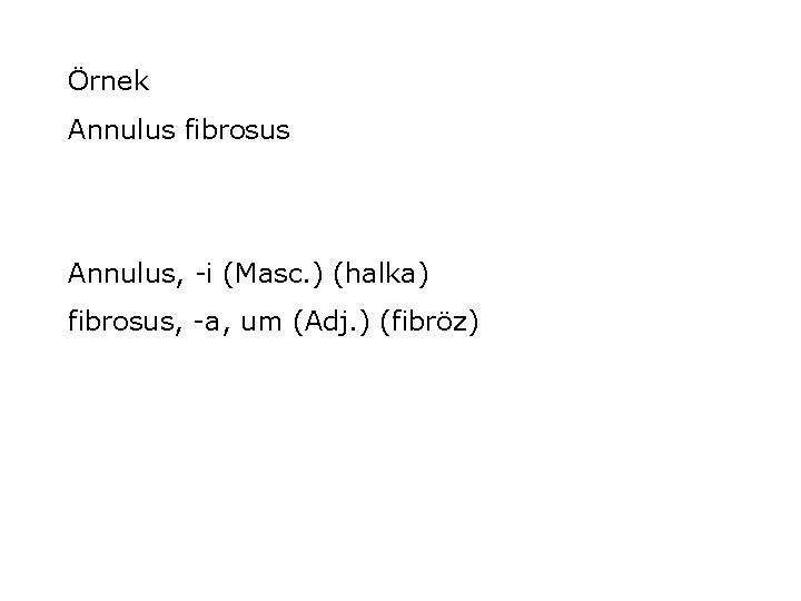 Örnek Annulus fibrosus Annulus, -i (Masc. ) (halka) fibrosus, -a, um (Adj. ) (fibröz)