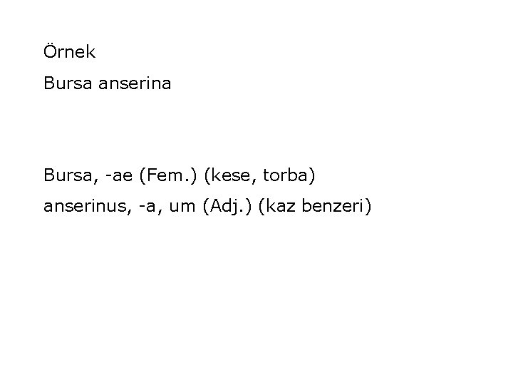 Örnek Bursa anserina Bursa, -ae (Fem. ) (kese, torba) anserinus, -a, um (Adj. )