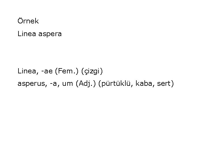 Örnek Linea aspera Linea, -ae (Fem. ) (çizgi) asperus, -a, um (Adj. ) (pürtüklü,