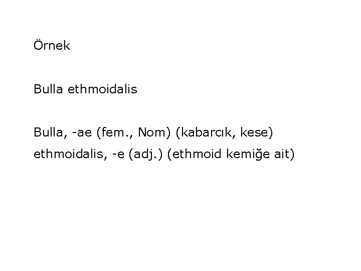 Örnek Bulla ethmoidalis Bulla, -ae (fem. , Nom) (kabarcık, kese) ethmoidalis, -e (adj. )