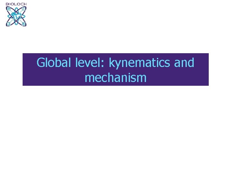 Global level: kynematics and mechanism 