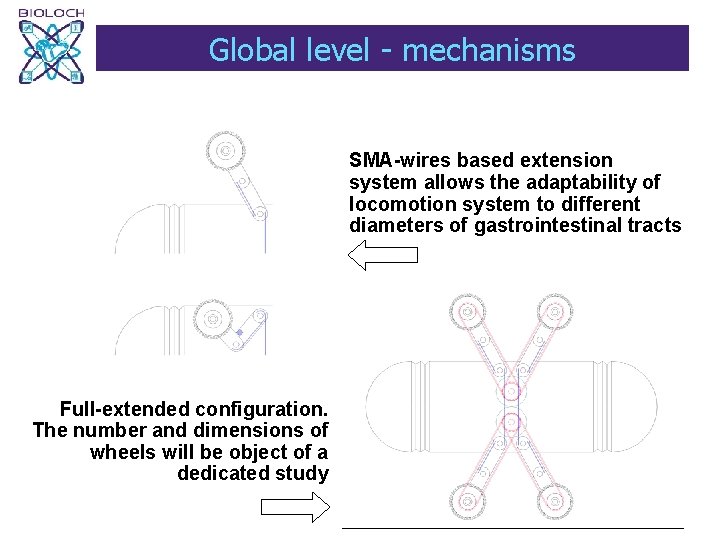 Global level - mechanisms SMA-wires based extension system allows the adaptability of locomotion system