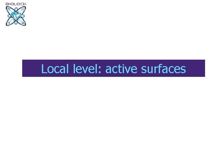 Local level: active surfaces 