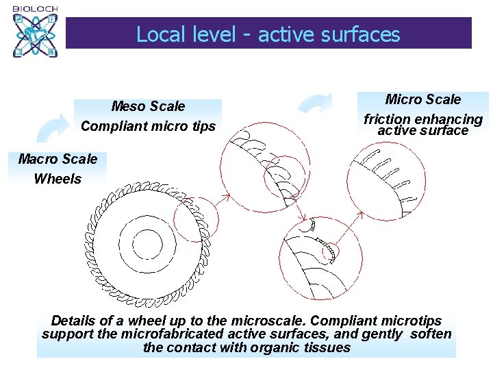 Local level - active surfaces Meso Scale Compliant micro tips Micro Scale friction enhancing