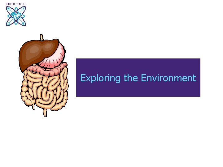 Exploring the Environment 