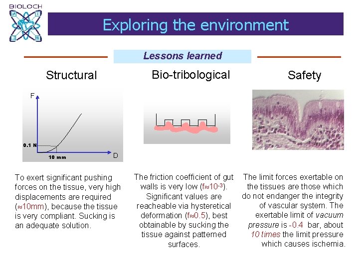 Exploring the environment Lessons learned Bio-tribological Structural Safety F 0. 1 N 10 mm