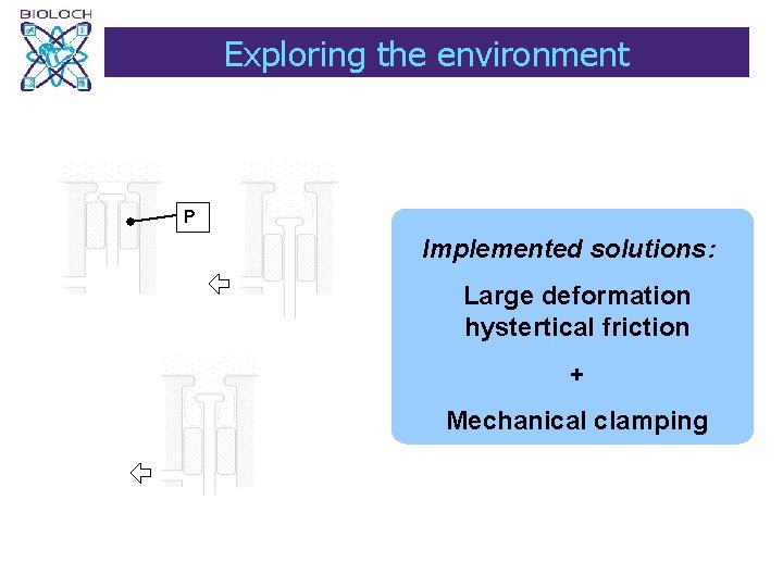Exploring the environment P Implemented solutions: Large deformation hystertical friction + Mechanical clamping 