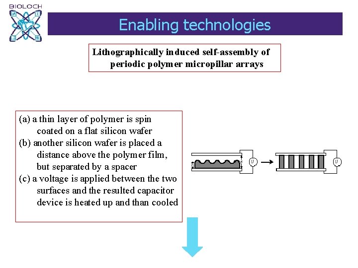 Enabling technologies Lithographically induced self-assembly of periodic polymer micropillar arrays (a) a thin layer