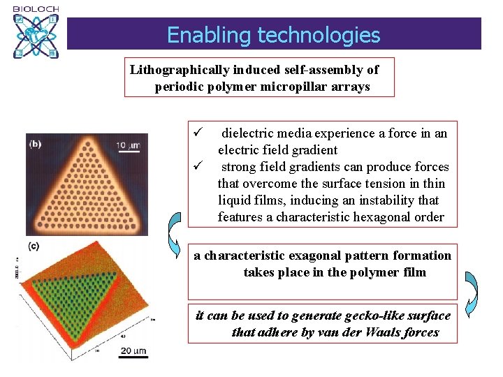 Enabling technologies Lithographically induced self-assembly of periodic polymer micropillar arrays ü dielectric media experience