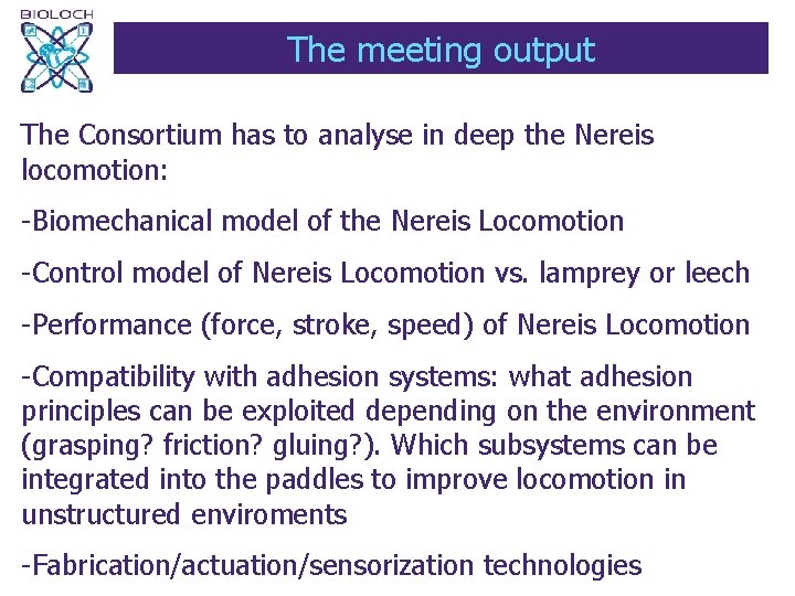 The meeting output The Consortium has to analyse in deep the Nereis locomotion: -Biomechanical