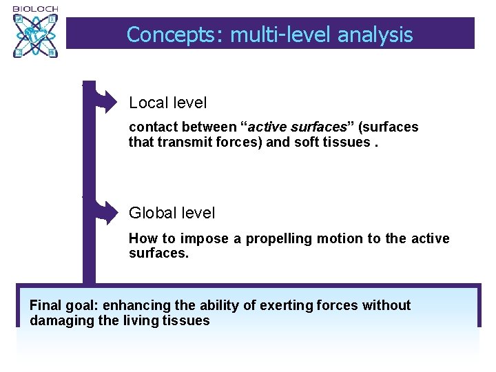 Concepts: multi-level analysis Local level contact between “active surfaces” (surfaces that transmit forces) and