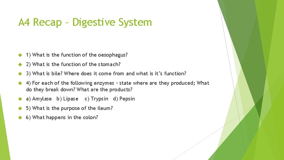 A 4 Recap – Digestive System 1) What is the function of the oesophagus?