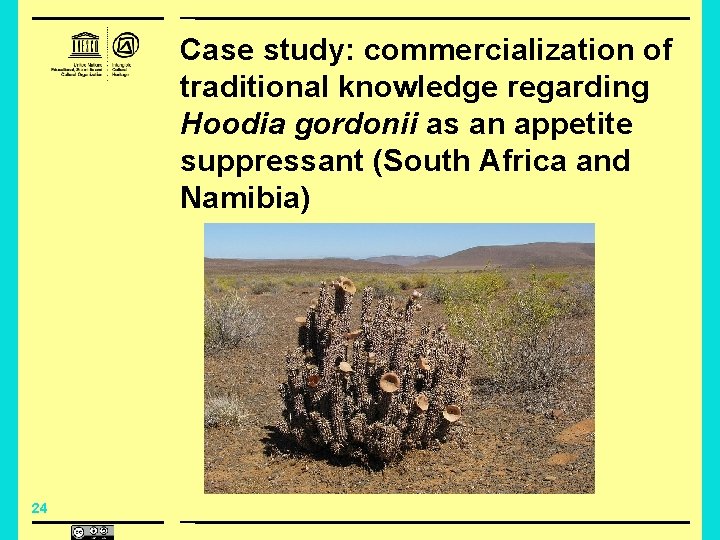 Case study: commercialization of traditional knowledge regarding Hoodia gordonii as an appetite suppressant (South