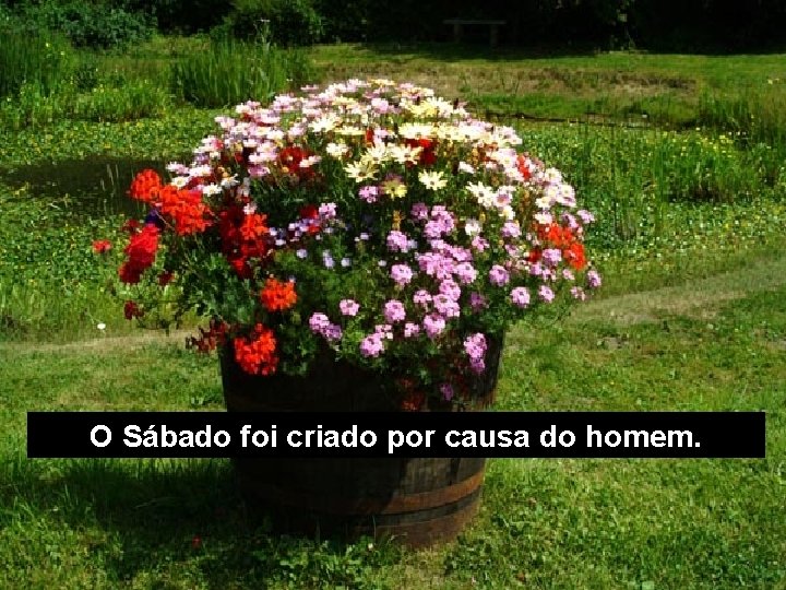 O Sábado foi criado por causa do homem. 