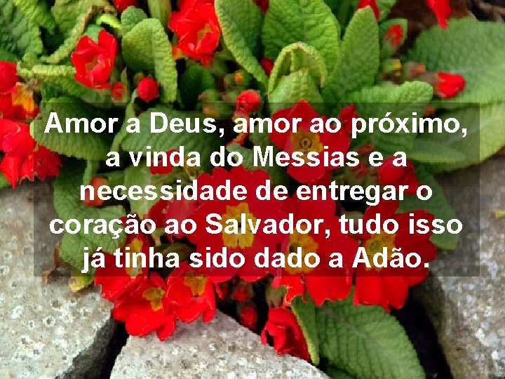 Amor a Deus, amor ao próximo, a vinda do Messias e a necessidade de