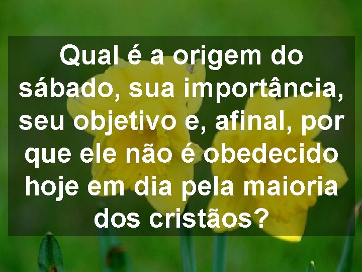 Qual é a origem do sábado, sua importância, seu objetivo e, afinal, por que