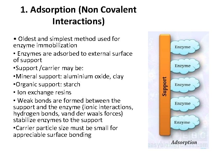 1. Adsorption (Non Covalent Interactions) • Oldest and simplest method used for enzyme immobilization