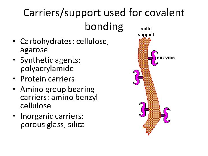 Carriers/support used for covalent bonding • Carbohydrates: cellulose, agarose • Synthetic agents: polyacrylamide •