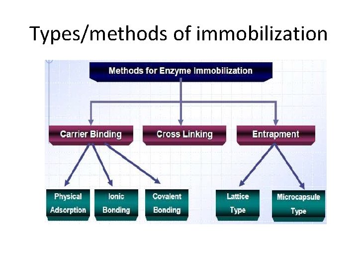 Types/methods of immobilization 