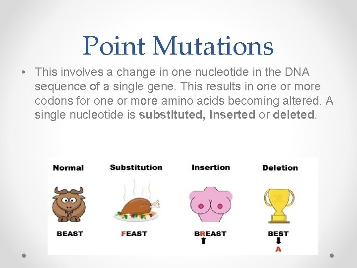 Point Mutations • This involves a change in one nucleotide in the DNA sequence