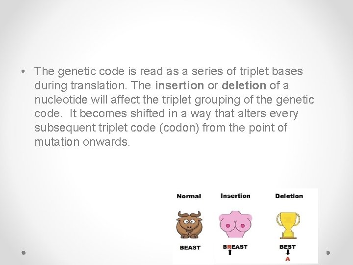  • The genetic code is read as a series of triplet bases during