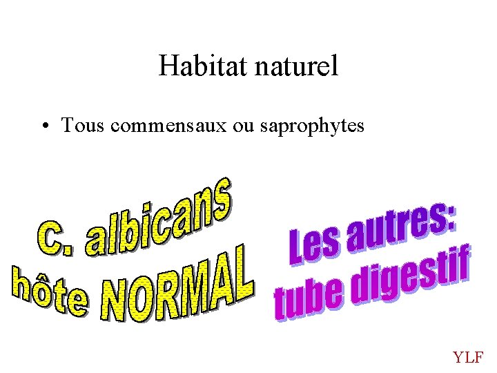 Habitat naturel • Tous commensaux ou saprophytes YLF 