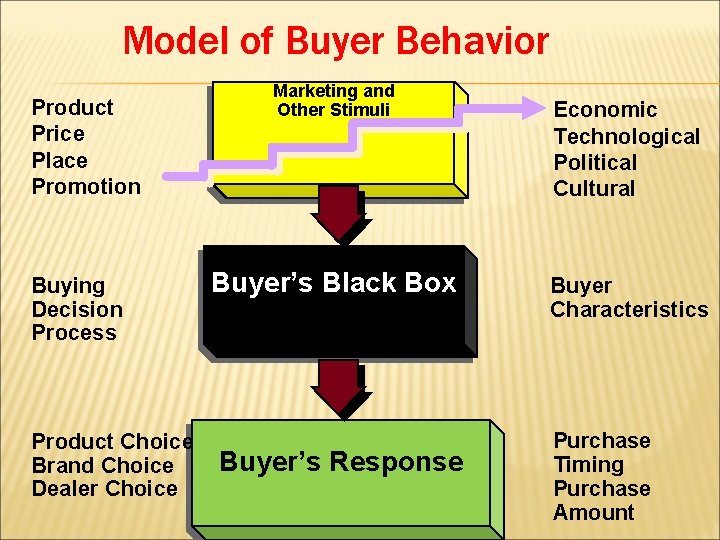 Model of Buyer Behavior Product Price Place Promotion Buying Decision Process Product Choice Brand