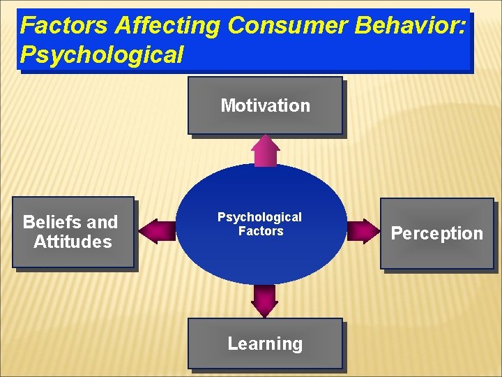 Factors Affecting Consumer Behavior: Psychological Motivation Beliefs and Attitudes Psychological Factors Learning Perception 