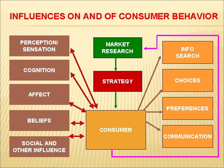 INFLUENCES ON AND OF CONSUMER BEHAVIOR PERCEPTION/ SENSATION MARKET RESEARCH INFO SEARCH COGNITION STRATEGY