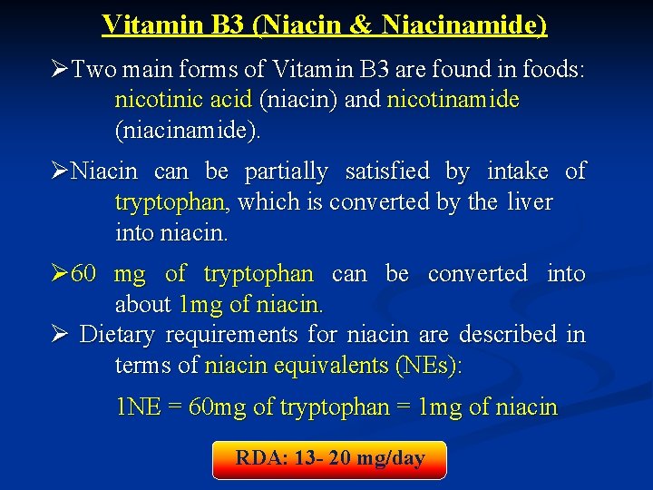 Vitamin B 3 (Niacin & Niacinamide) ØTwo main forms of Vitamin B 3 are
