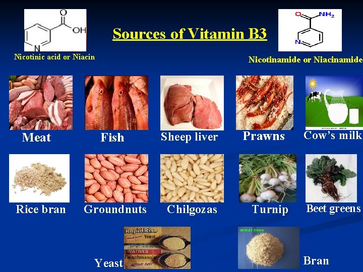 Sources of Vitamin B 3 Nicotinic acid or Niacin Meat Rice bran Nicotinamide or