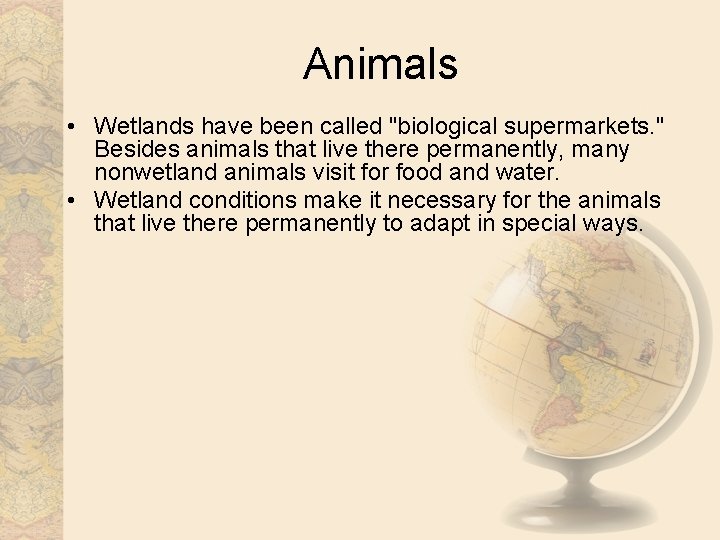 Animals • Wetlands have been called "biological supermarkets. " Besides animals that live there