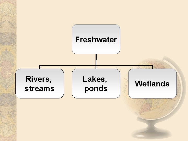 Freshwater Rivers, streams Lakes, ponds Wetlands 
