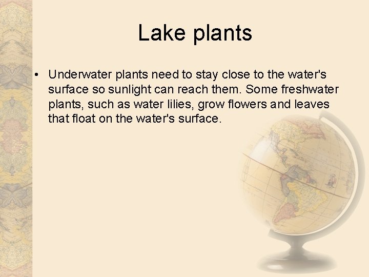 Lake plants • Underwater plants need to stay close to the water's surface so