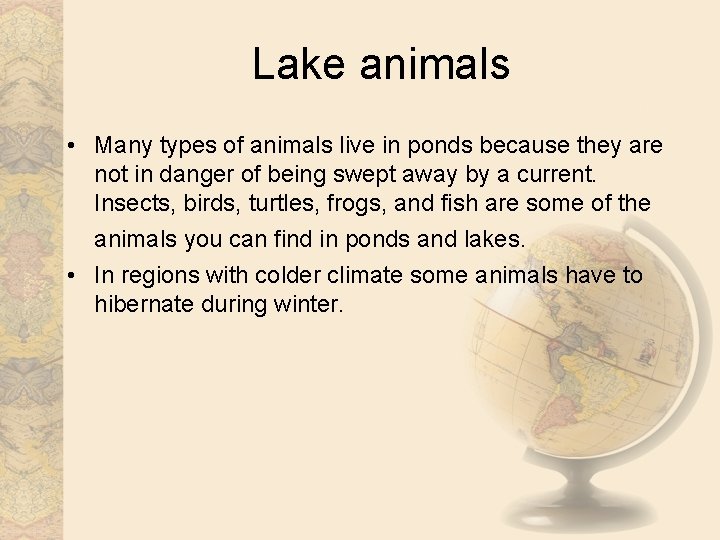 Lake animals • Many types of animals live in ponds because they are not