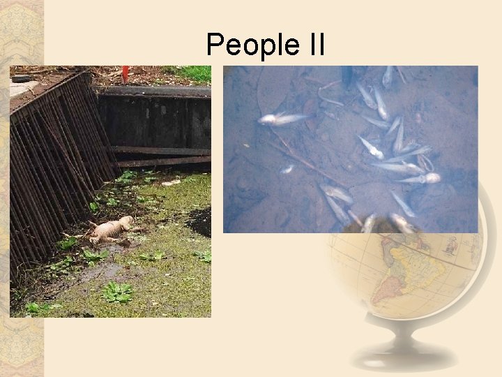People II 