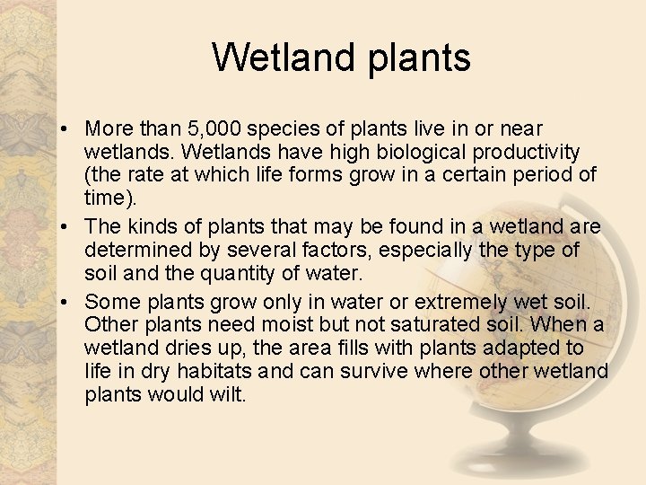 Wetland plants • More than 5, 000 species of plants live in or near