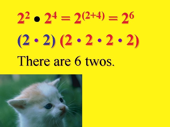 2 2 4 2 (2+4) 2 = = (2 • 2) (2 • 2