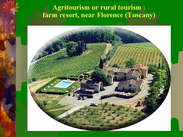 Agritourism or rural tourism : farm resort, near Florence (Tuscany) 