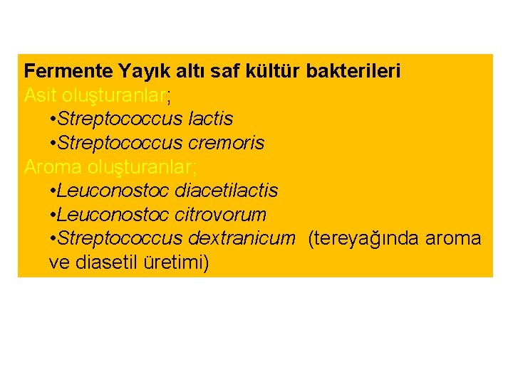 Fermente Yayık altı saf kültür bakterileri Asit oluşturanlar; • Streptococcus lactis • Streptococcus cremoris