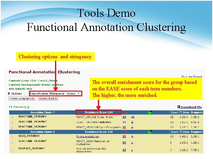 Tools Demo Functional Annotation Clustering options and stringency The overall enrichment score for the