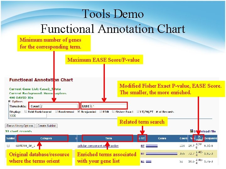 Tools Demo Functional Annotation Chart Minimum number of genes for the corresponding term. Maximum
