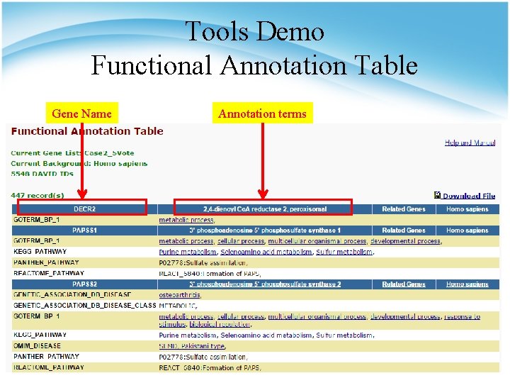Tools Demo Functional Annotation Table Gene Name Annotation terms 