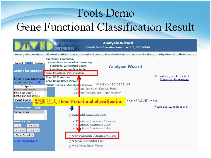 Tools Demo Gene Functional Classification Result 點選 進入 Gene Functional classification 