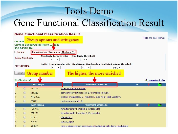 Tools Demo Gene Functional Classification Result Group options and stringency Group number The higher,